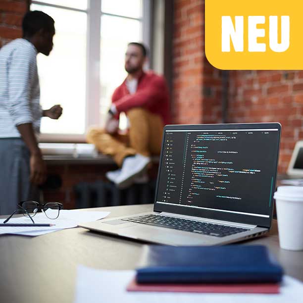 Vibe-Coding-IDLL-Steinbeis-Kurs